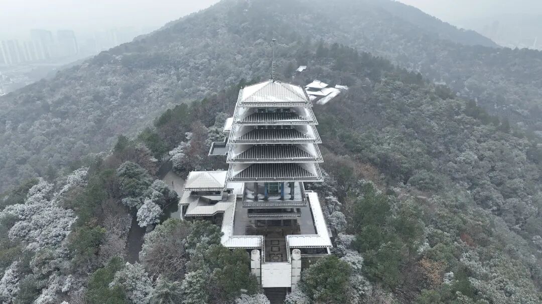 1月20日 (1)(8).jpg