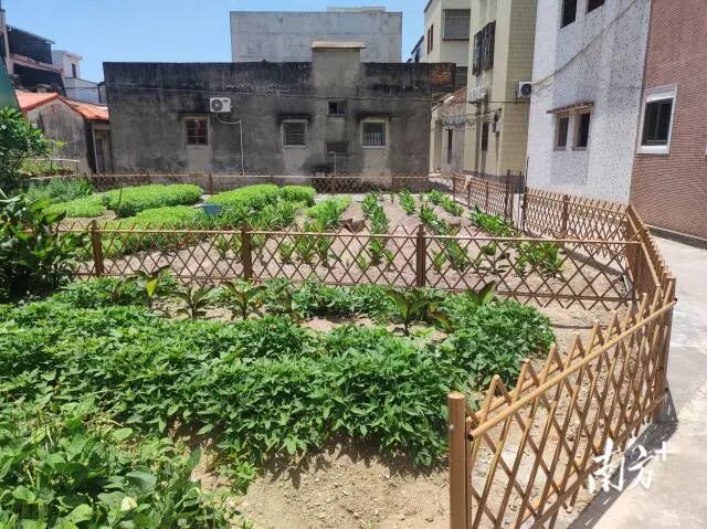 南方+ 余丹 拍摄