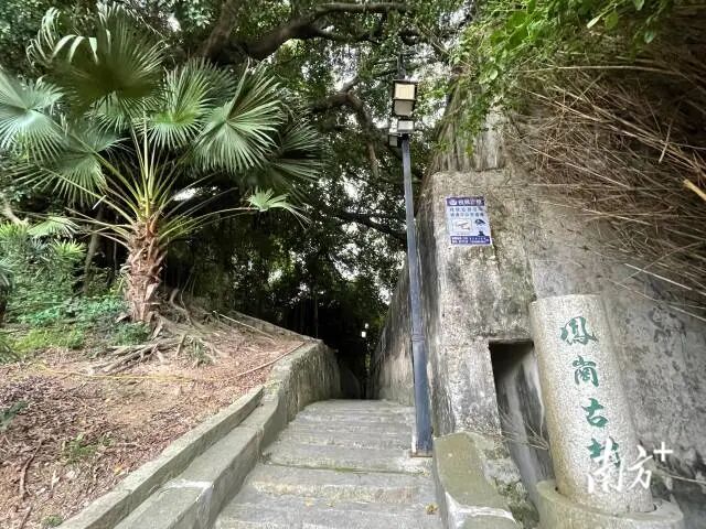 南方+ 余丹 拍摄