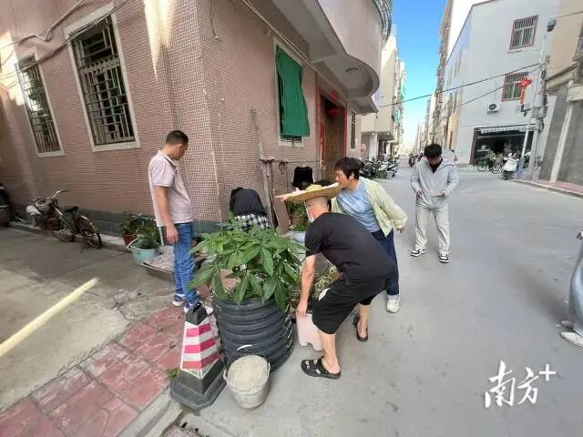 南方+ 余丹 拍摄