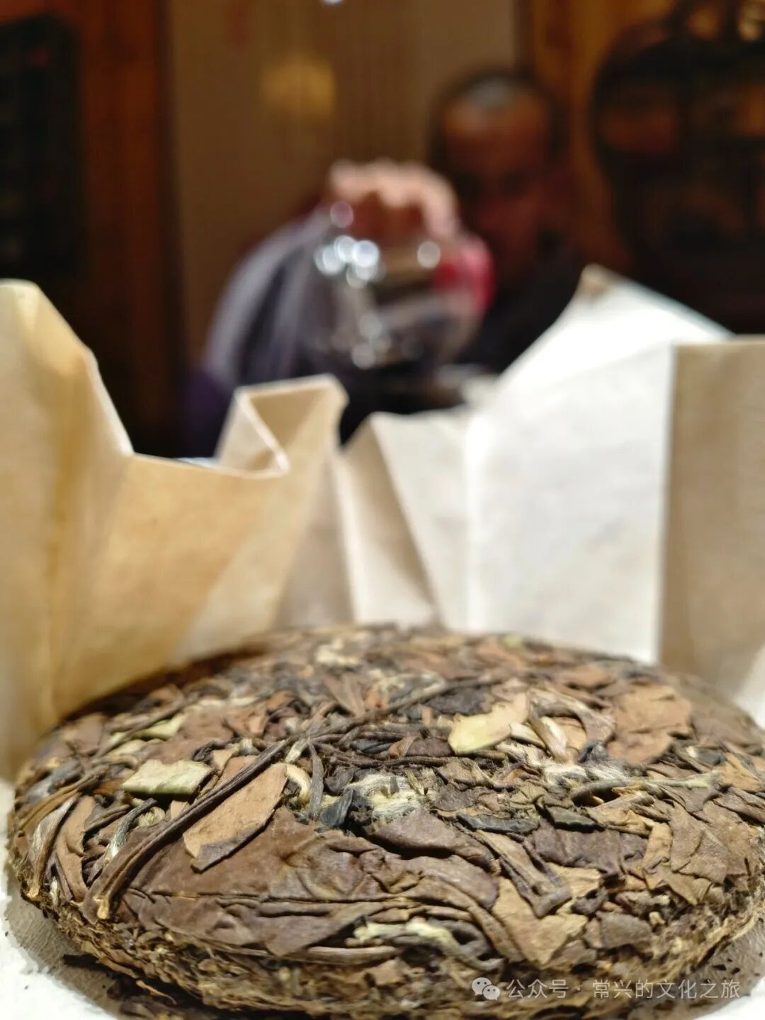 福建宁德柘荣县常云禅师携众采茶,别说茶树是真高传说达摩祖师少林面