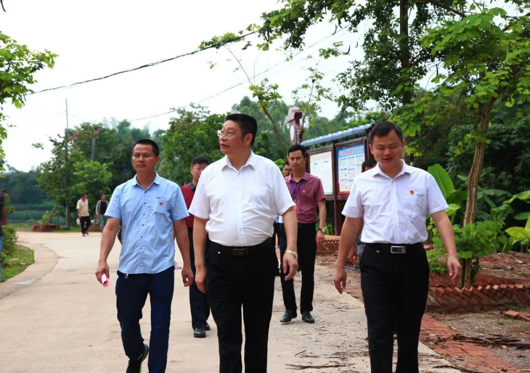 肖明贵到桂平市开展乡村振兴工作调研