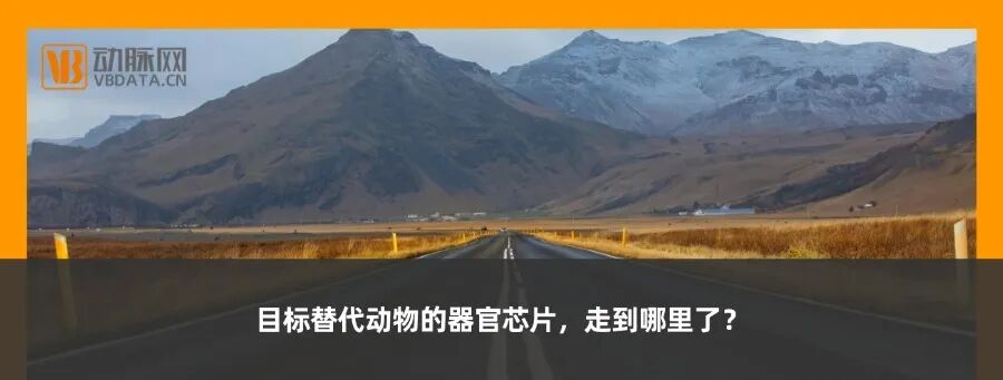 arab health 怎么读出海加速，“掘金”中东—Arab Health 2025商务考察与参展计划，全面探索中东市场潜力_https://www.jmylbn.com_新闻资讯_第9张