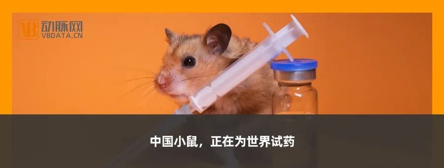 止血微球怎么用今晚直播 ｜ 博恩锐尔：国产首款自主研发可吸收止血流体明胶【动脉严选新品鉴第74期】_https://www.jmylbn.com_新闻资讯_第14张