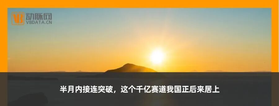 髋关节厂家有哪些占全球90%市场，人工关节陶瓷国产新秀何时替代这一霸主_https://www.jmylbn.com_新闻资讯_第11张