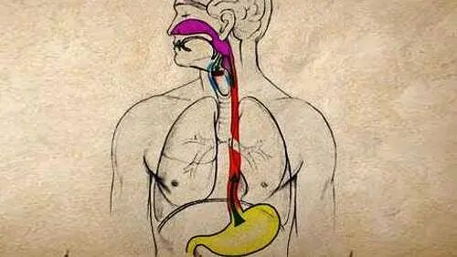 FISH怎么诊断CTC【SE-i·FISH-CTC超早期肿瘤筛查】年年体检却查出晚期癌症！90%的人防癌筛查都做错了​！_https://www.jmylbn.com_新闻资讯_第16张