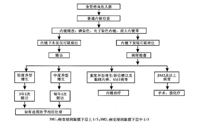FISH怎么诊断CTC【SE-i·FISH-CTC超早期肿瘤筛查】年年体检却查出晚期癌症！90%的人防癌筛查都做错了​！_https://www.jmylbn.com_新闻资讯_第17张