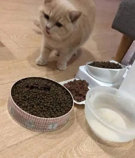 疫情过后，一定要换智能锁