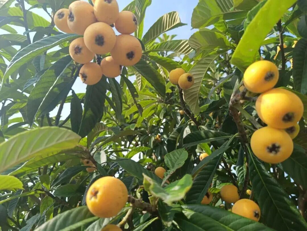 ""