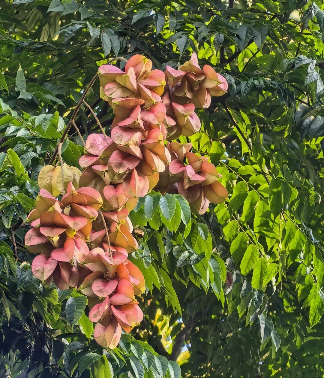 ""