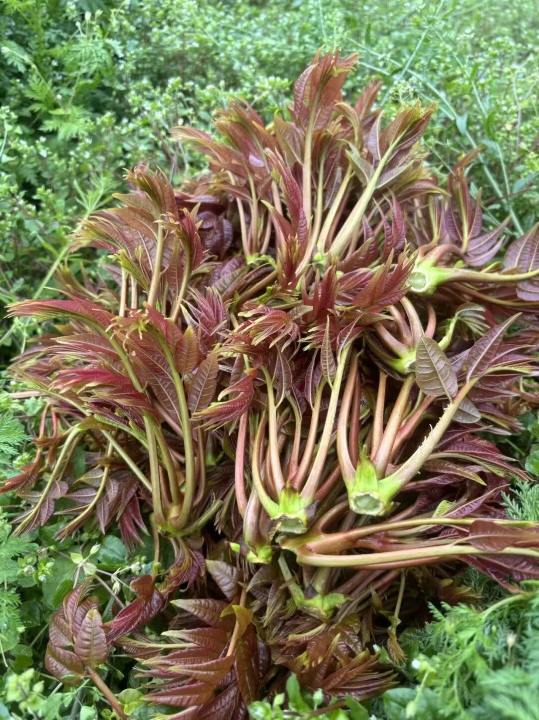 ""