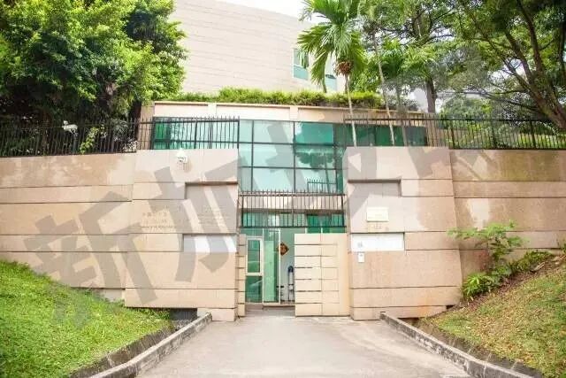 在新加坡出生的宝宝如何办理身份证件？