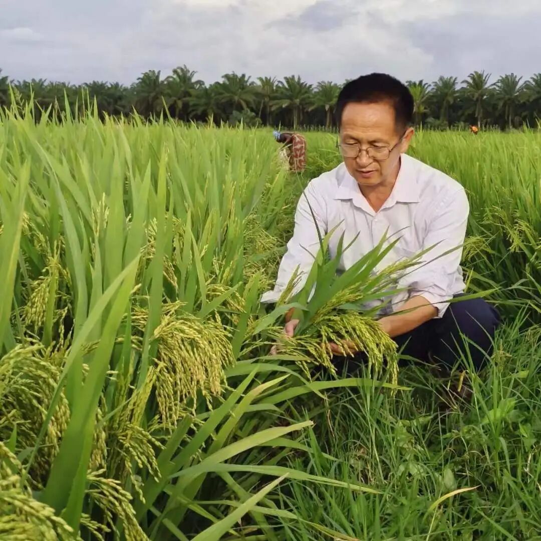 吕强杨华德王进杰于佳李玥当谈论非洲时我们在谈论什么skps