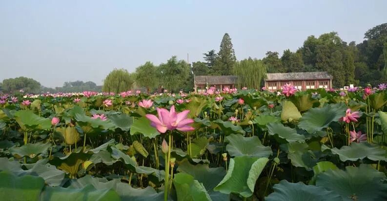 图片1.jpg
