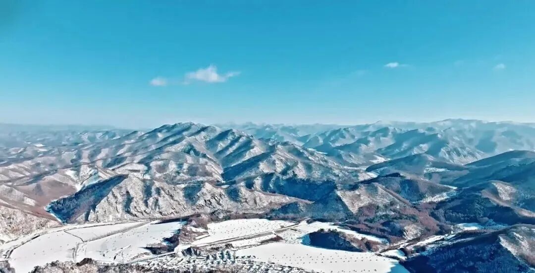 微信图片_20260211160711_221_7.jpg