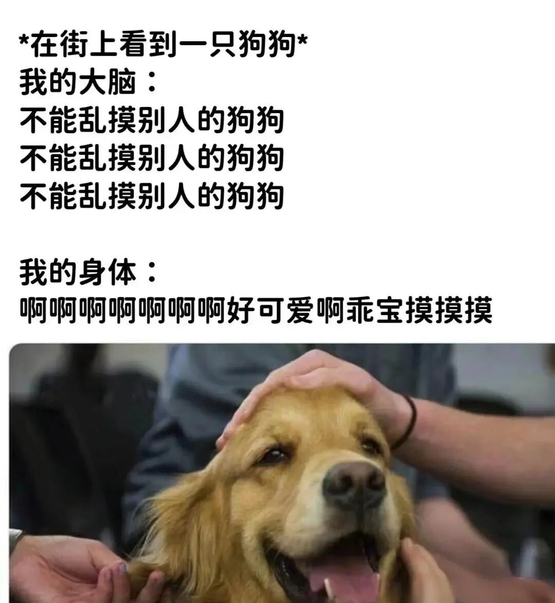 全球人民都知道我们放假了,【现世报】全球人民都知道我们放假了