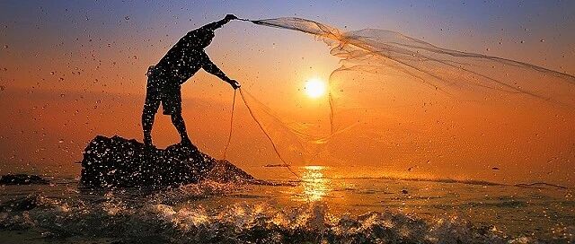 名不见经传的番茄资本，如何成为中国餐饮赛道第一捕手？