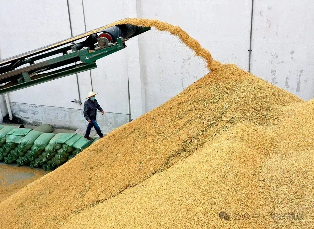 从“粉尘漫天”到“一尘不染”：华兴输送的粮食安全秘诀