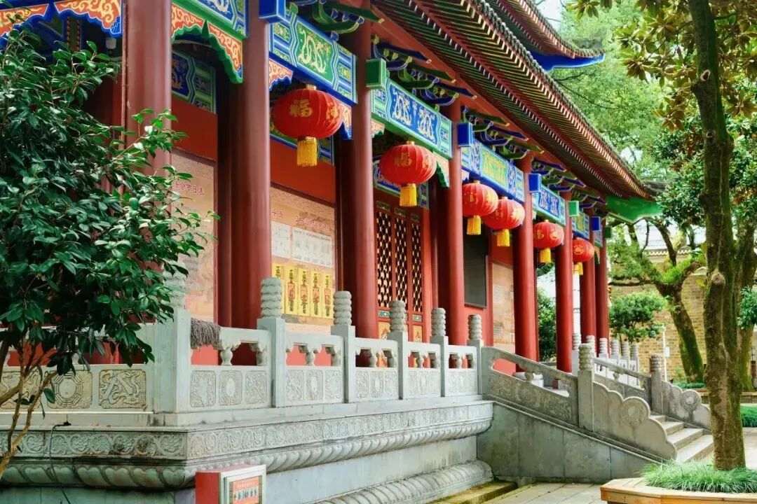 数字里的鹰潭!央视知名主持人实地打卡!