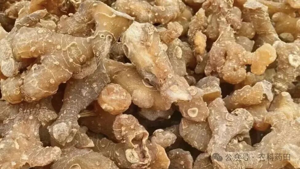 种啥药材能赚钱:这几个品种行情看涨！