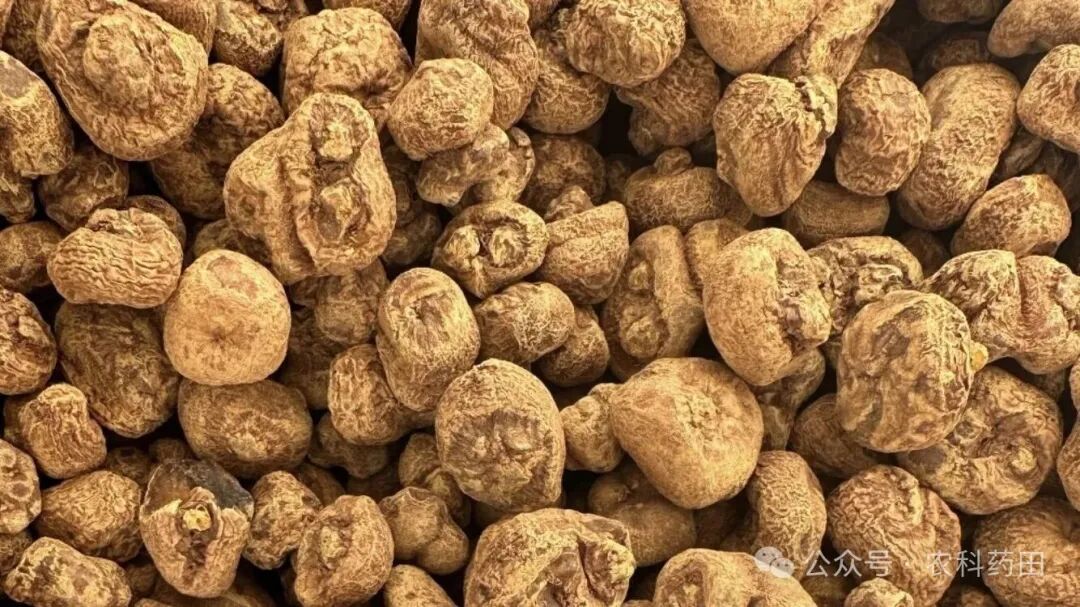 2026年开春种植指南，行情走势全解析！