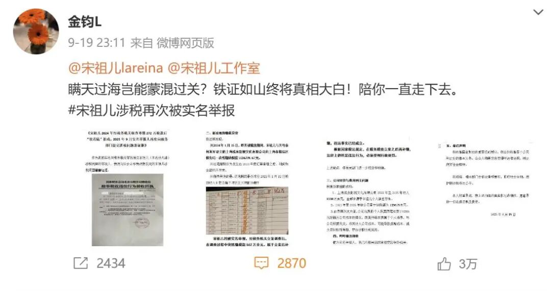 宋祖儿再被实名举报税务问题