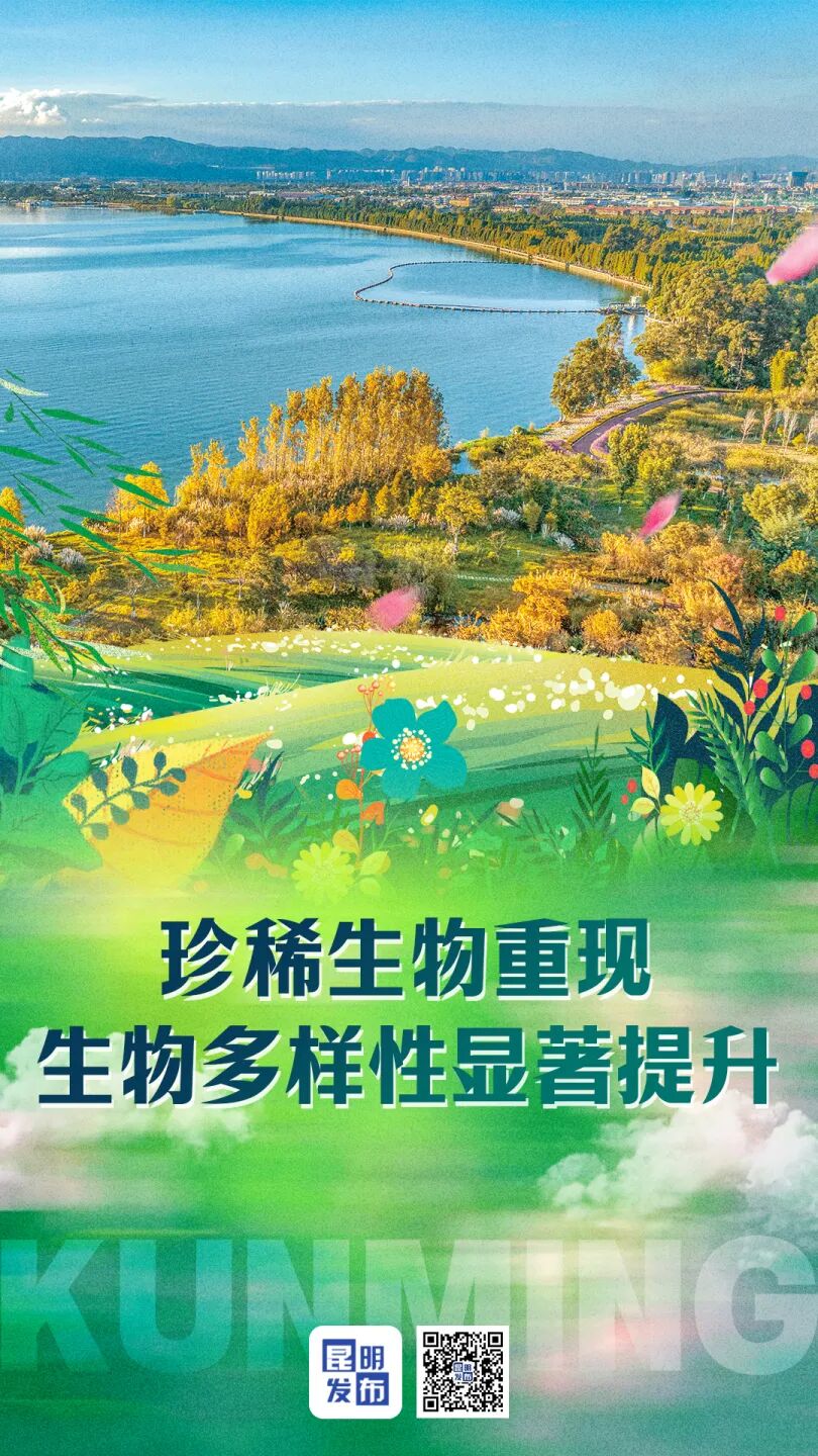 fec29c074adab644d0fa4d3ac10924bf.jpg