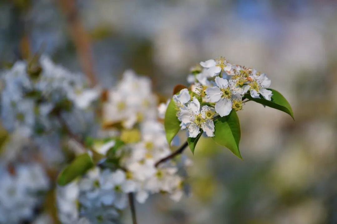 DSC_3696.JPG