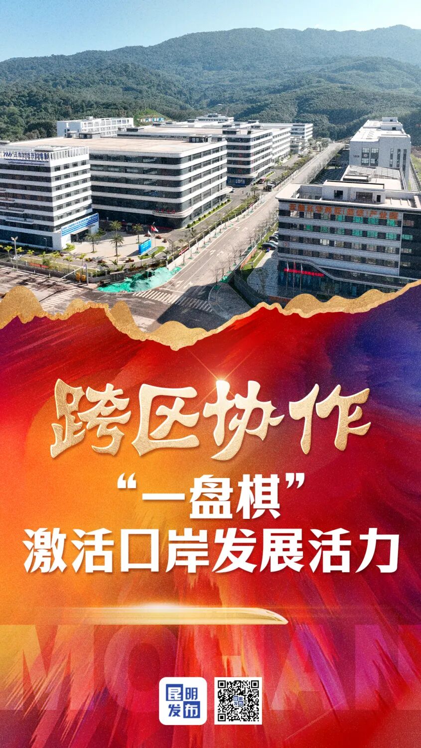 托管四年 磨憨国际口岸城市拔节生长2.jpg