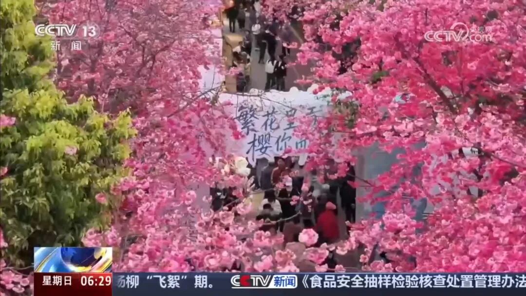微信图片_20260405131738_1261_10.jpg