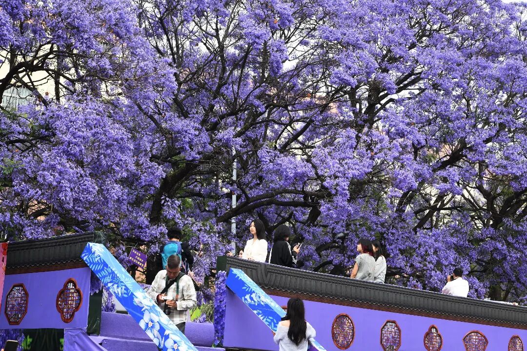 微信图片_20260506165311_3971_1.jpg
