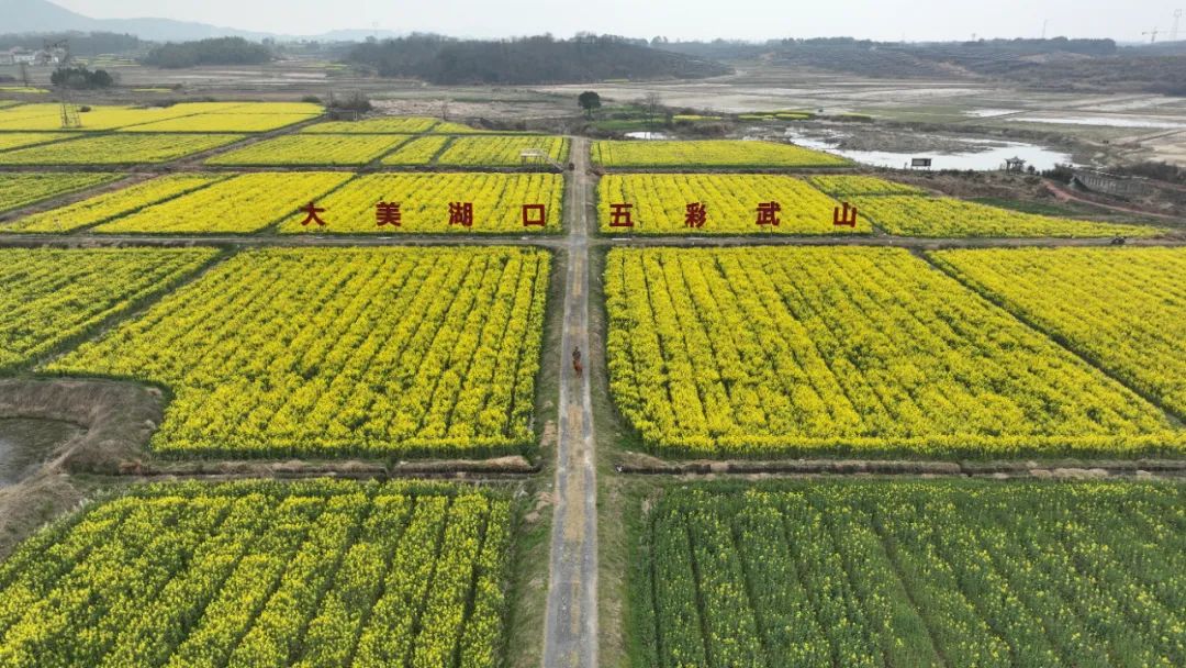 湖口武山镇天山风景区图片