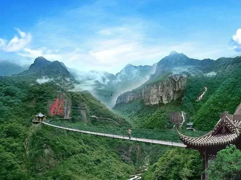 武义人这些地方全部免票