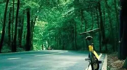 增城力迅云筑加推2栋，50~75㎡两至三房