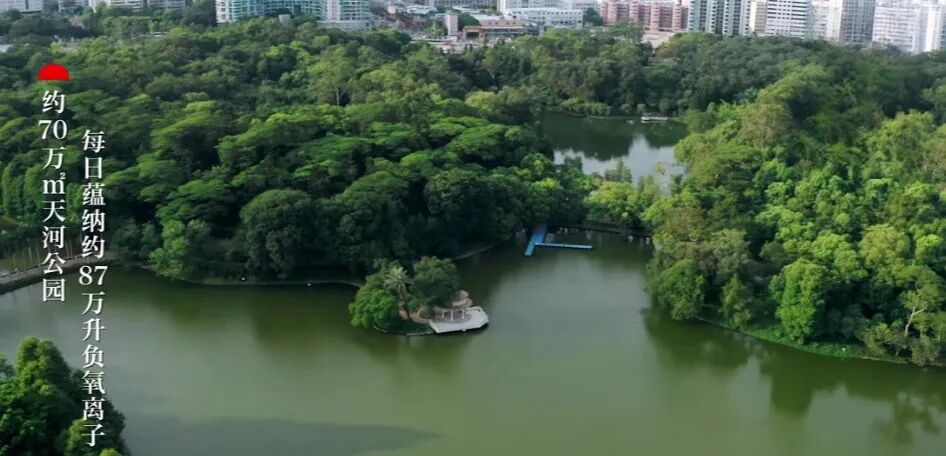 天河保利珠城东项目住宅，年底开样板间