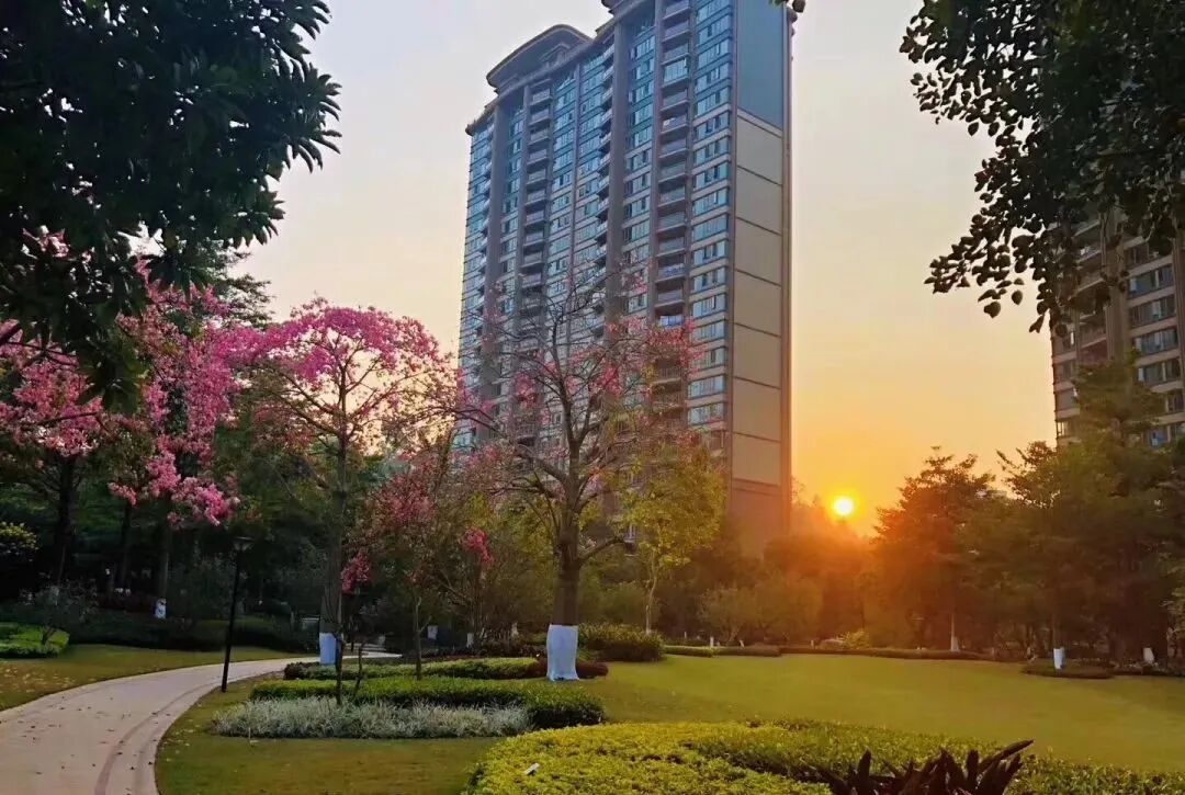 黄陂振业天成推新货仅48套，168平四房大户型！