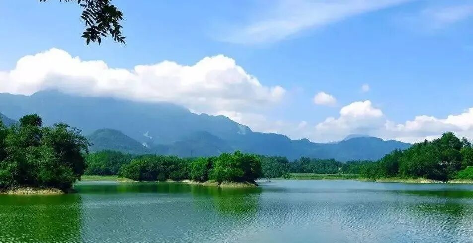 增城70万内任选【广州院子】95㎡~140㎡，配建9年公立华师附！