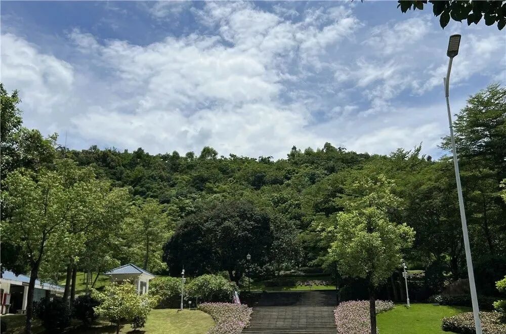 黄埔科城山庄加推84㎡~145㎡，吹风价5万元/㎡起