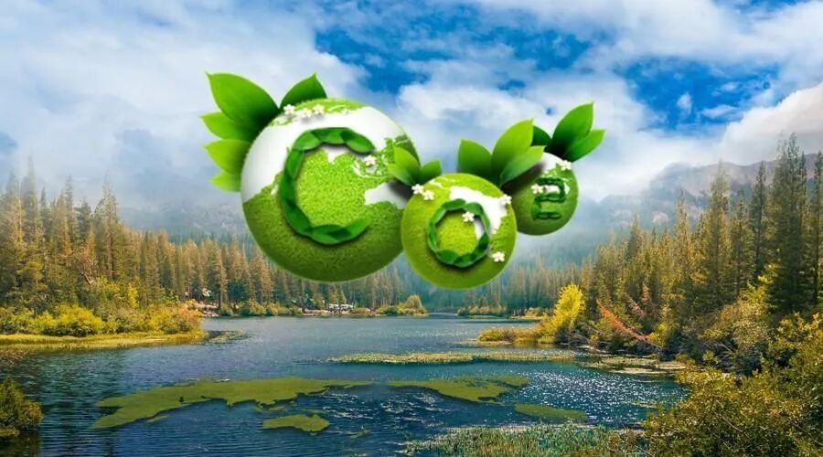 地質(zhì)工作與碳中和 | 碳排放權(quán)交易的圖1