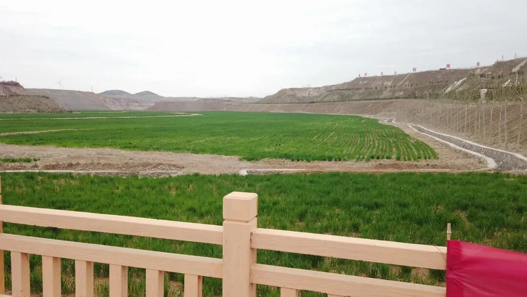 废矿变良田？矿山修复他们是这么做的……的图6