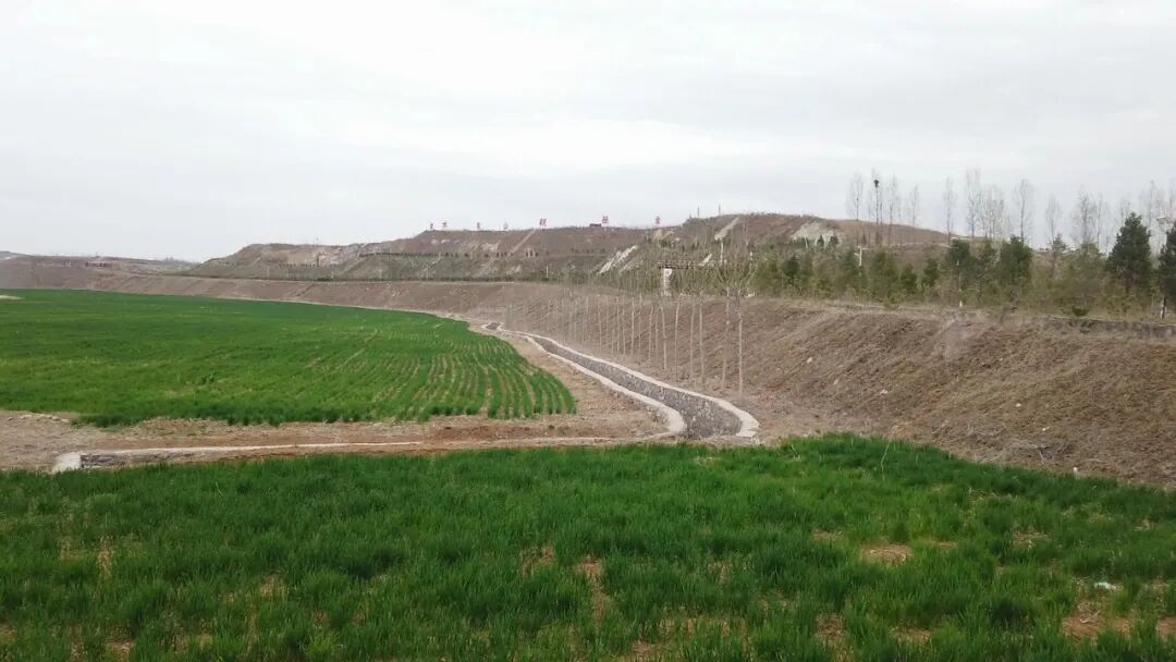 废矿变良田？矿山修复他们是这么做的……的图1