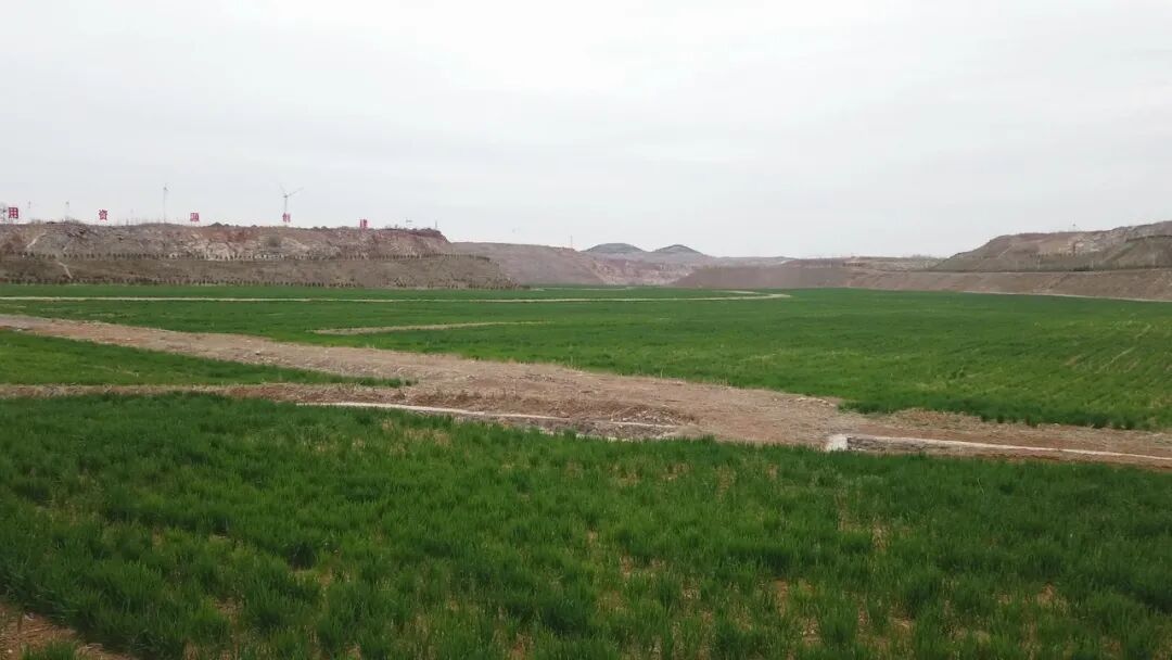 废矿变良田？矿山修复他们是这么做的……的图3