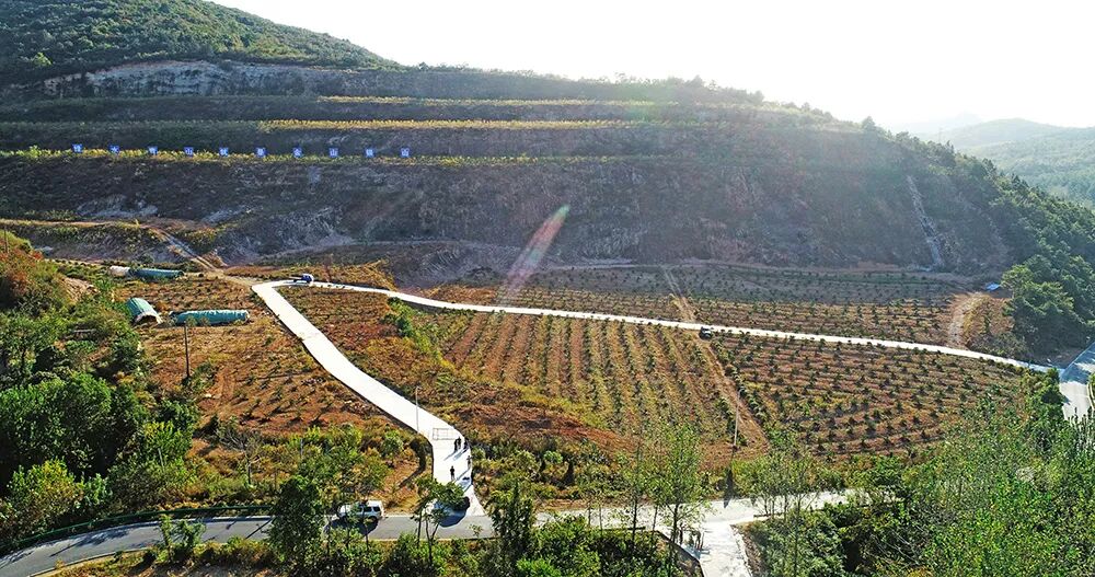 安徽：礦山生態(tài)修復(fù)一個(gè)都不能少的圖8