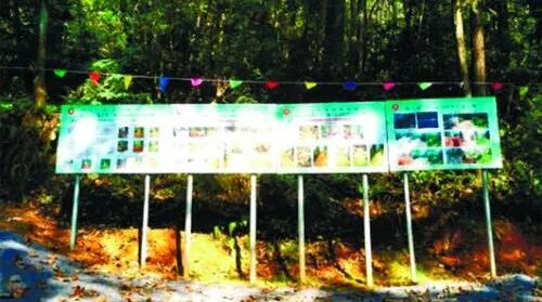 案例展示 | 中國建材地勘中心安徽總隊綠色勘查項目是這樣干的的圖6
