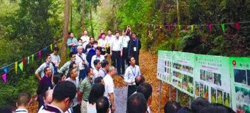案例展示 | 中國建材地勘中心安徽總隊綠色勘查項目是這樣干的的圖3