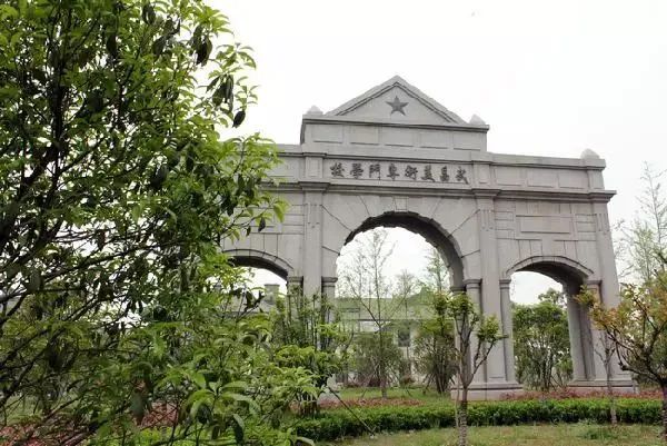 大学排名山东录取分数线_2024年山东艺术学院录取分数线(2024各省份录取分数线及位次排名)_山东高校排名及录取分数线