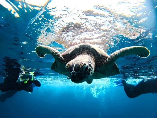 石垣島 青の洞窟を100%満喫！行き方・楽しみ方・ツアー情報を徹底解説