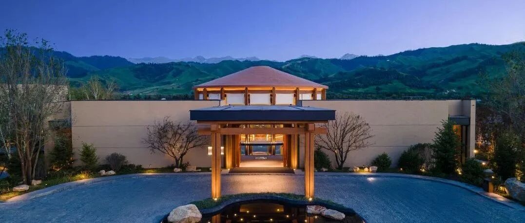 这次出圈了，最火的vip来了！