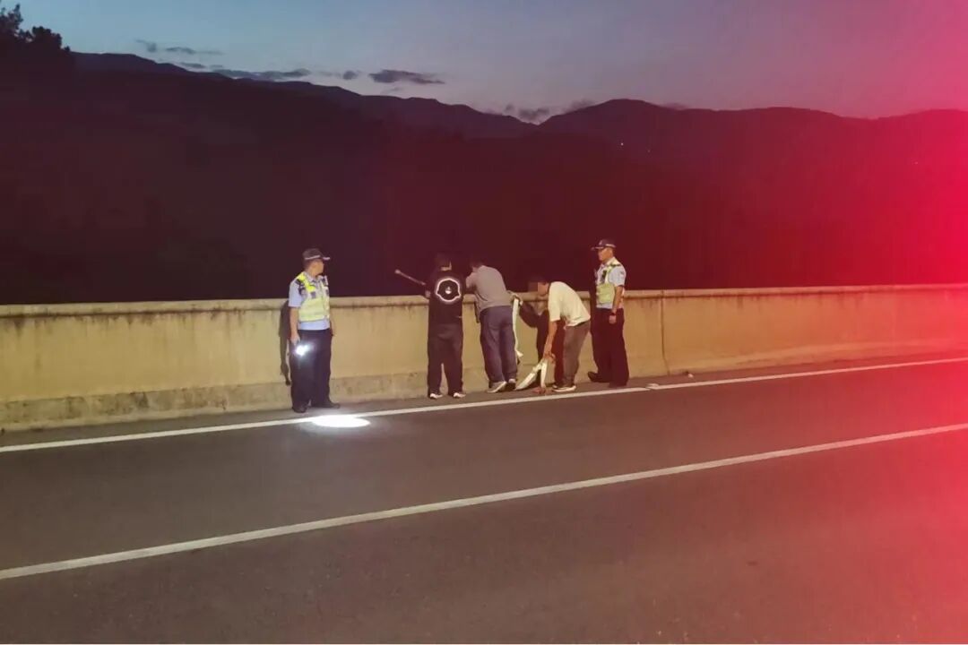 高速下车摘马蜂窝吃,都是嘴馋惹的祸！三男子上高速，这是要“蜂”啊