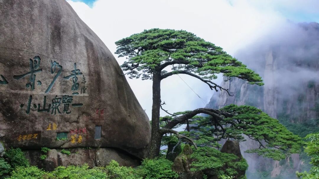 电脑壁纸｜超清8K无水印电脑桌面壁纸风景壁纸50张